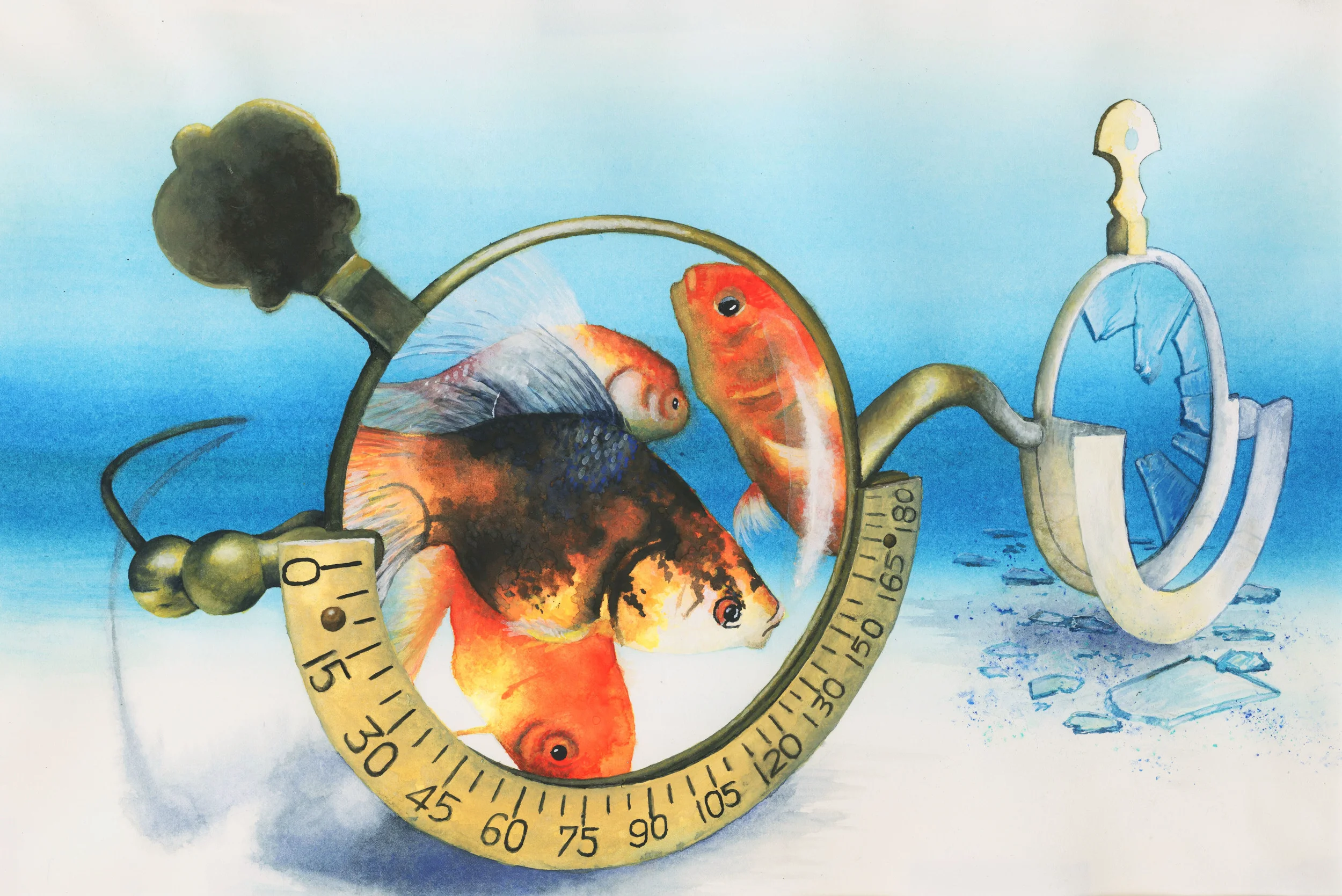 The Goldfish of Reality