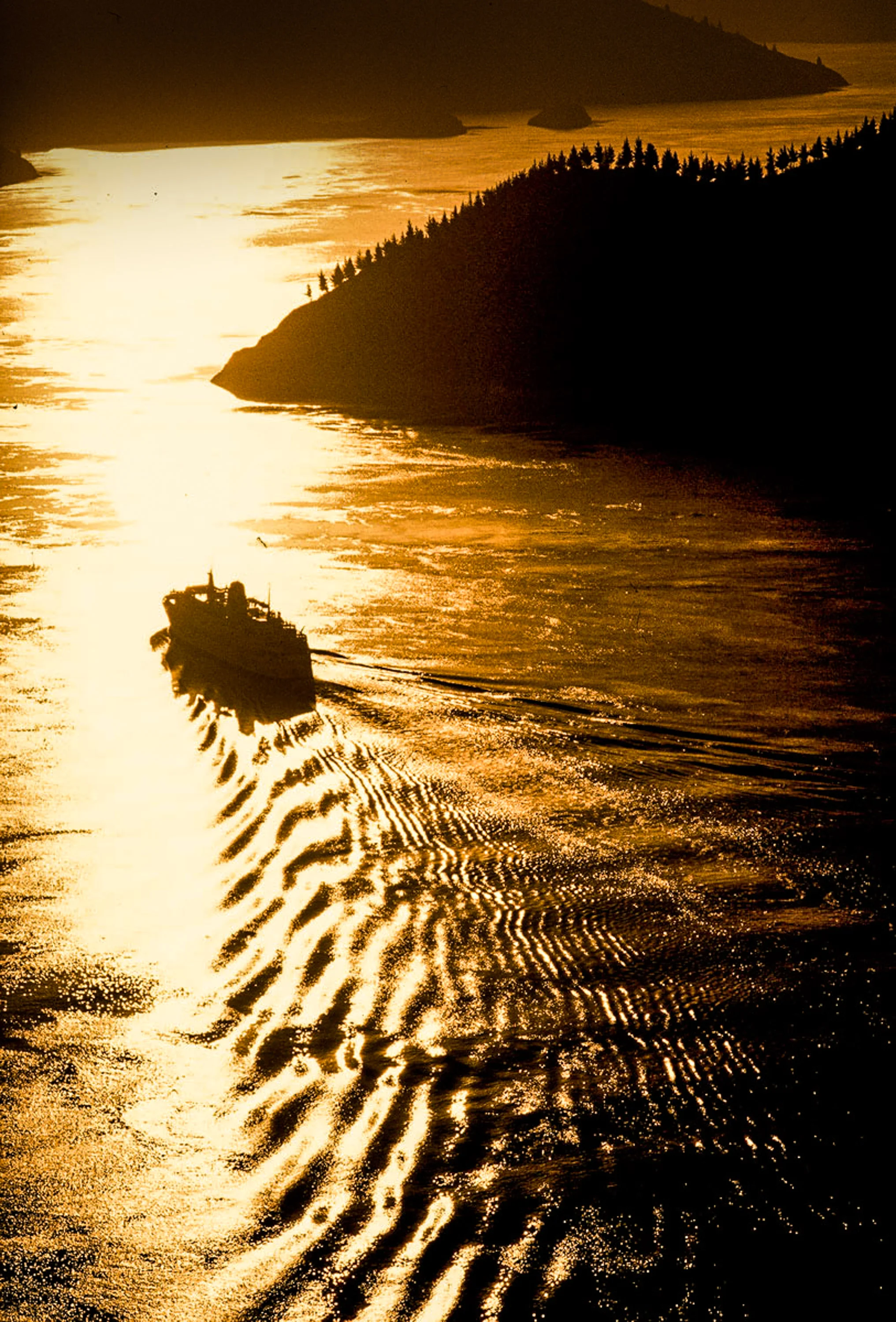 This was shot as part of a big budget commercial campaign fo the Inter Islander back in the mid 80's in the days of Medium Format transparency film! The plane was booked for about 4-00pm but it was decided that I just wait in the upstairs lounge of the Aero club rooms at Wellington Airport until we saw the Ferry leaving the heads, well, come 5pm there was still no sign of the ferry and by that stage we were told that it was running VERY late ( no kidding ). we finally got the word at about 6pm that it was on the way and I was getting VERY nervous about the light and wondering if it was going to hold, deadlines were tight and there was no chance of a re-shoot. As it turned out, the Ferry sailed through heads right on dusk, the photos got used in a campaign and went to win awards in the NZIPP competition, this is one of the out takes from that shoot.