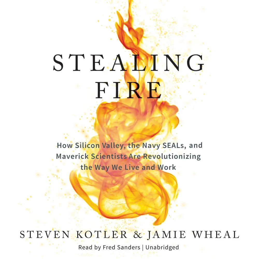 Stealing Fire.jpg