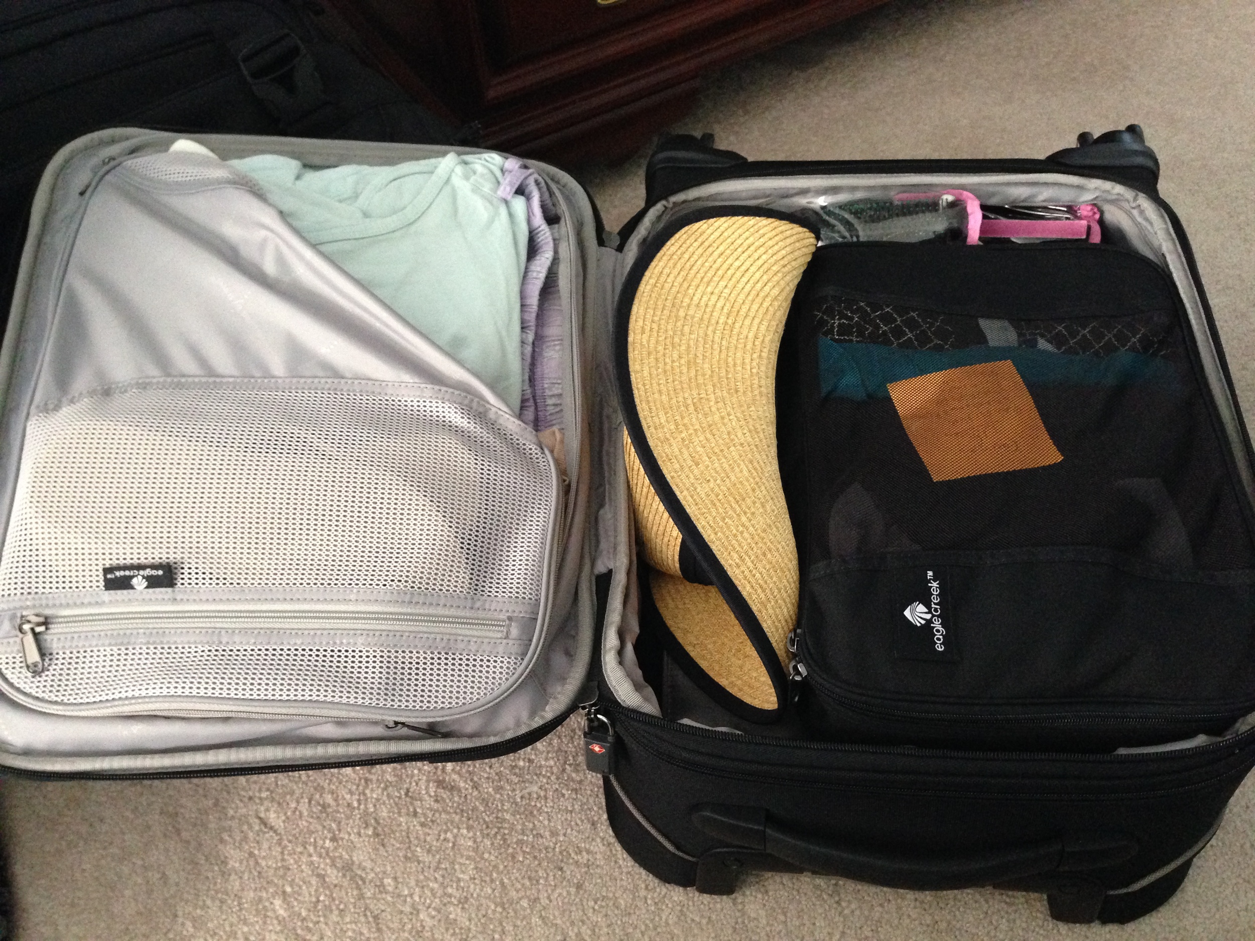 Kathy's carry on bag