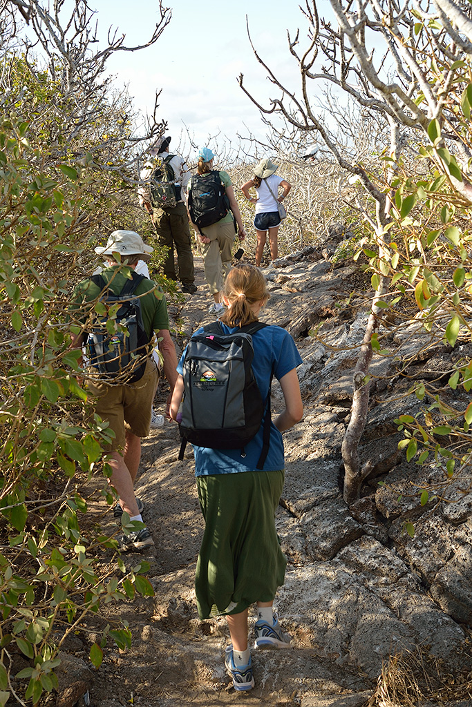 Adventures By Disney provided excellent local guides for our small group of like minded travelers in the Galapagos and in Andean Highlands in Ecuador