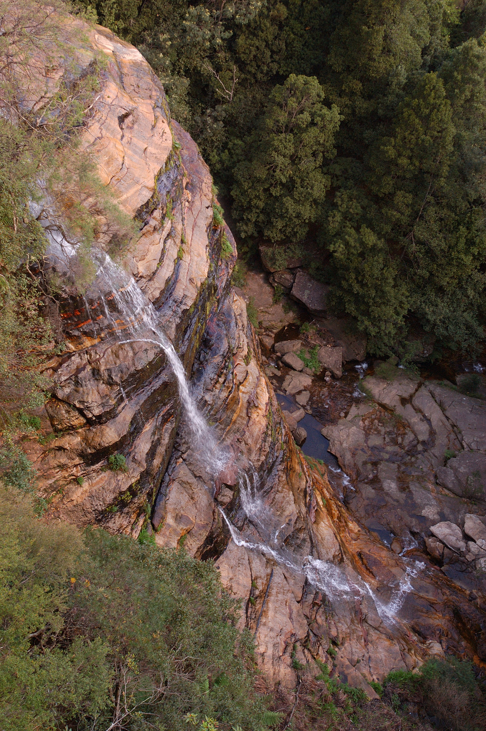 Leura Falls