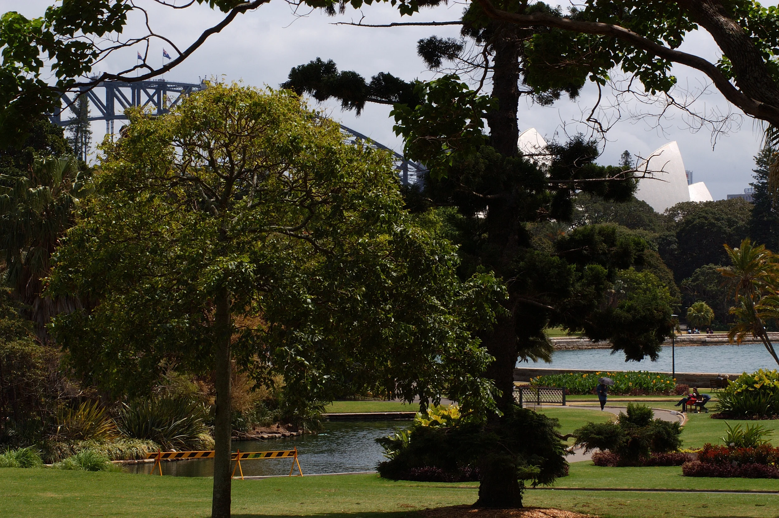View of the Opera House and Sydney Harbour Bridge from Royal Botanic Gardens