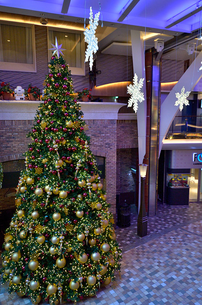 Decorations for the winter holidays