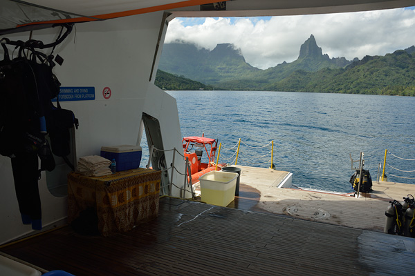 The water sports platform open