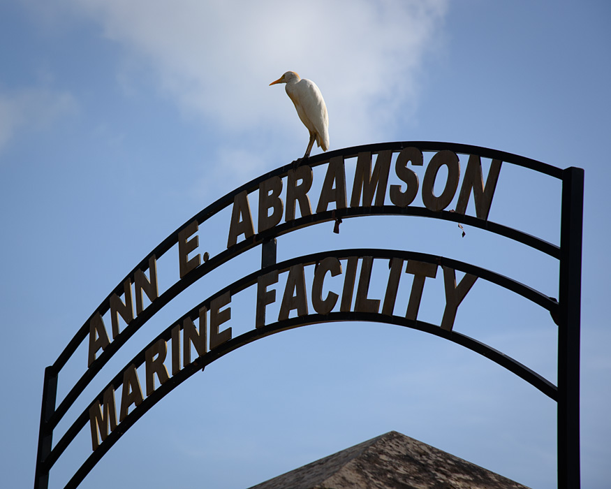 The sign marking the cruise ship pier in St Croix