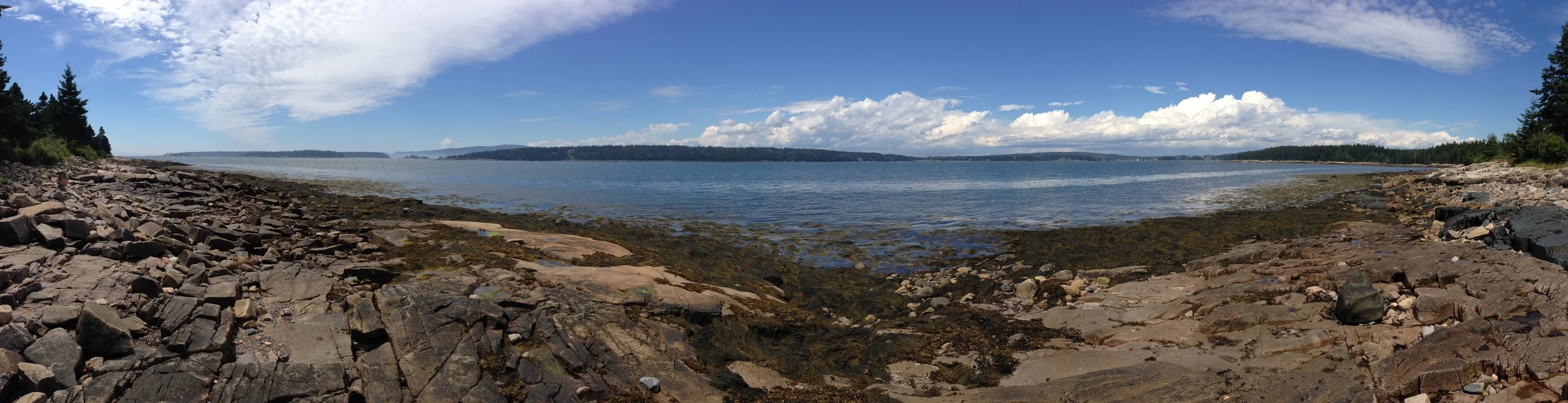 The view from Frazer Point, with your binoculars you can get a good look at Winter Harbor lighthouse on Mark Island.