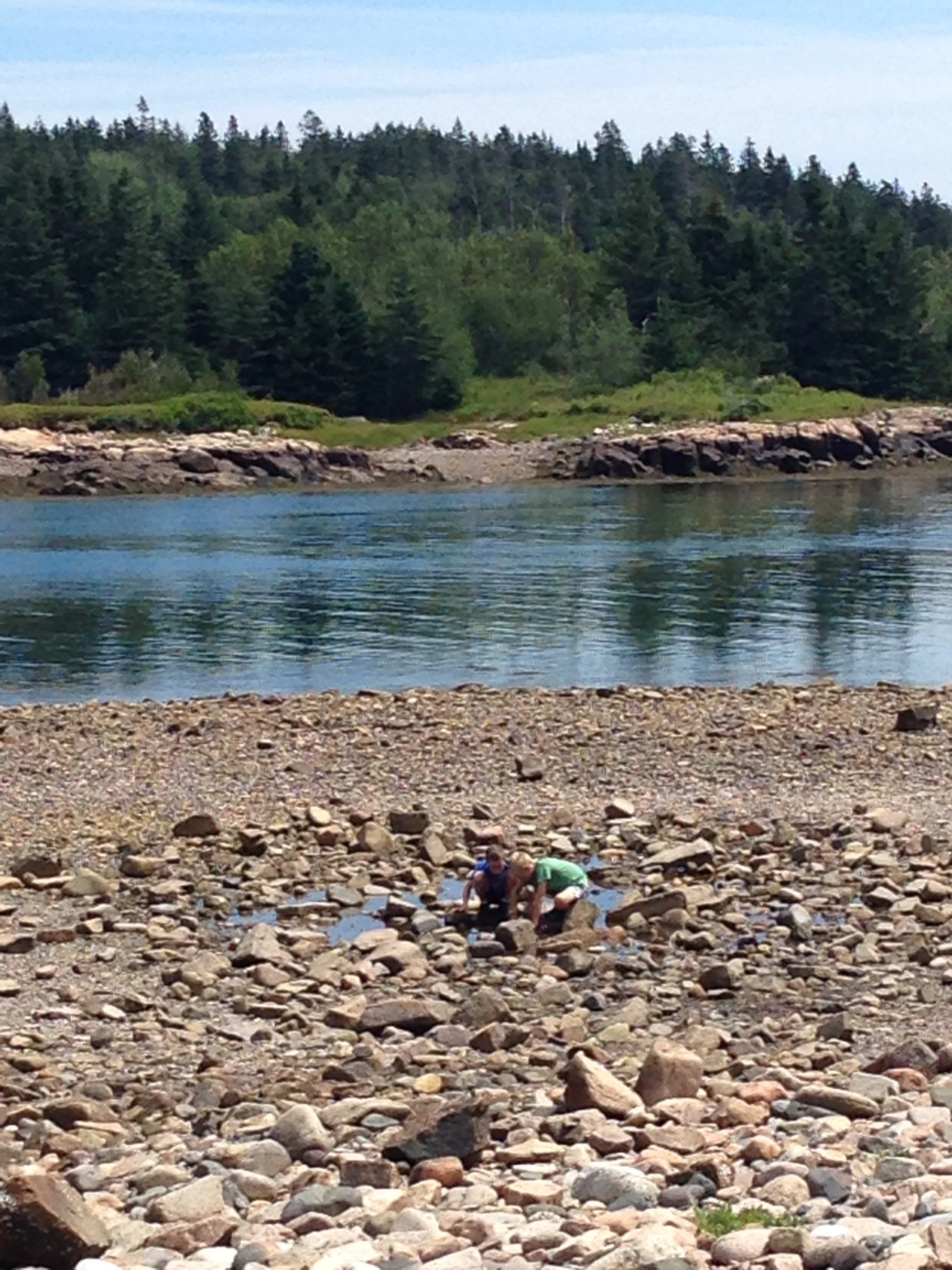 Frazer Point is one of the few places where it's safe to approach the water, here a few kids explore a tide pool at low tide. 
