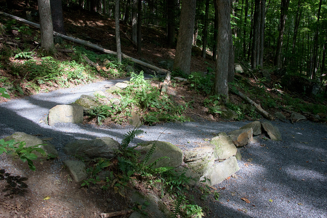 The start of the Faulkner Trail