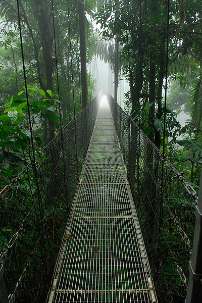 Hanging Bridges in Arenal