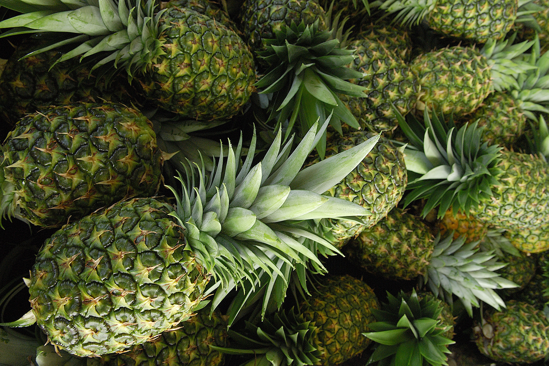 A detail of pineapples