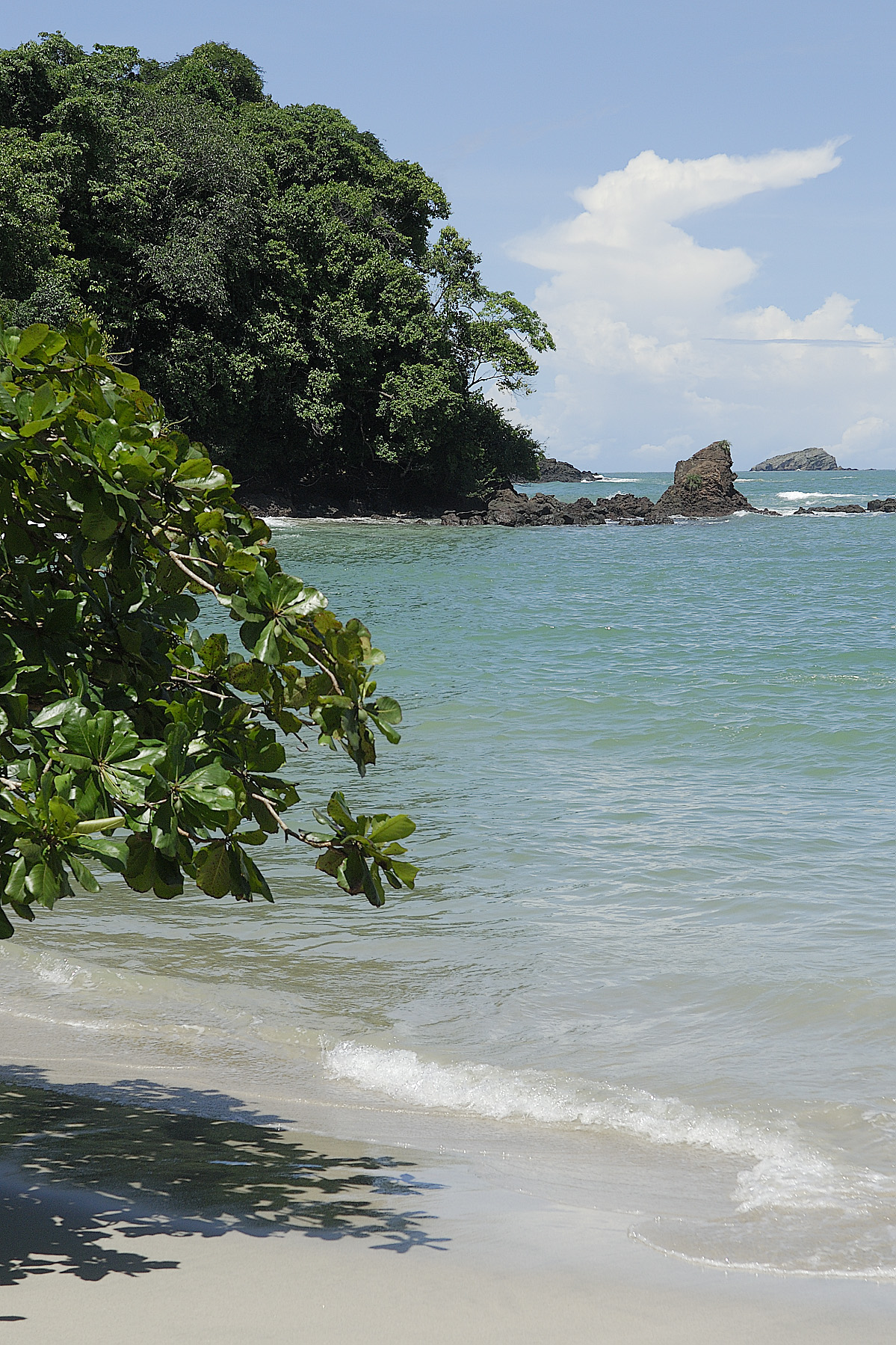 The hike through the rain forest ends at a beautiful beach on the Pacific ocean, which makes PMA the perfect place to sample some wildlife in Costa Rica and enjoy some beach time too.