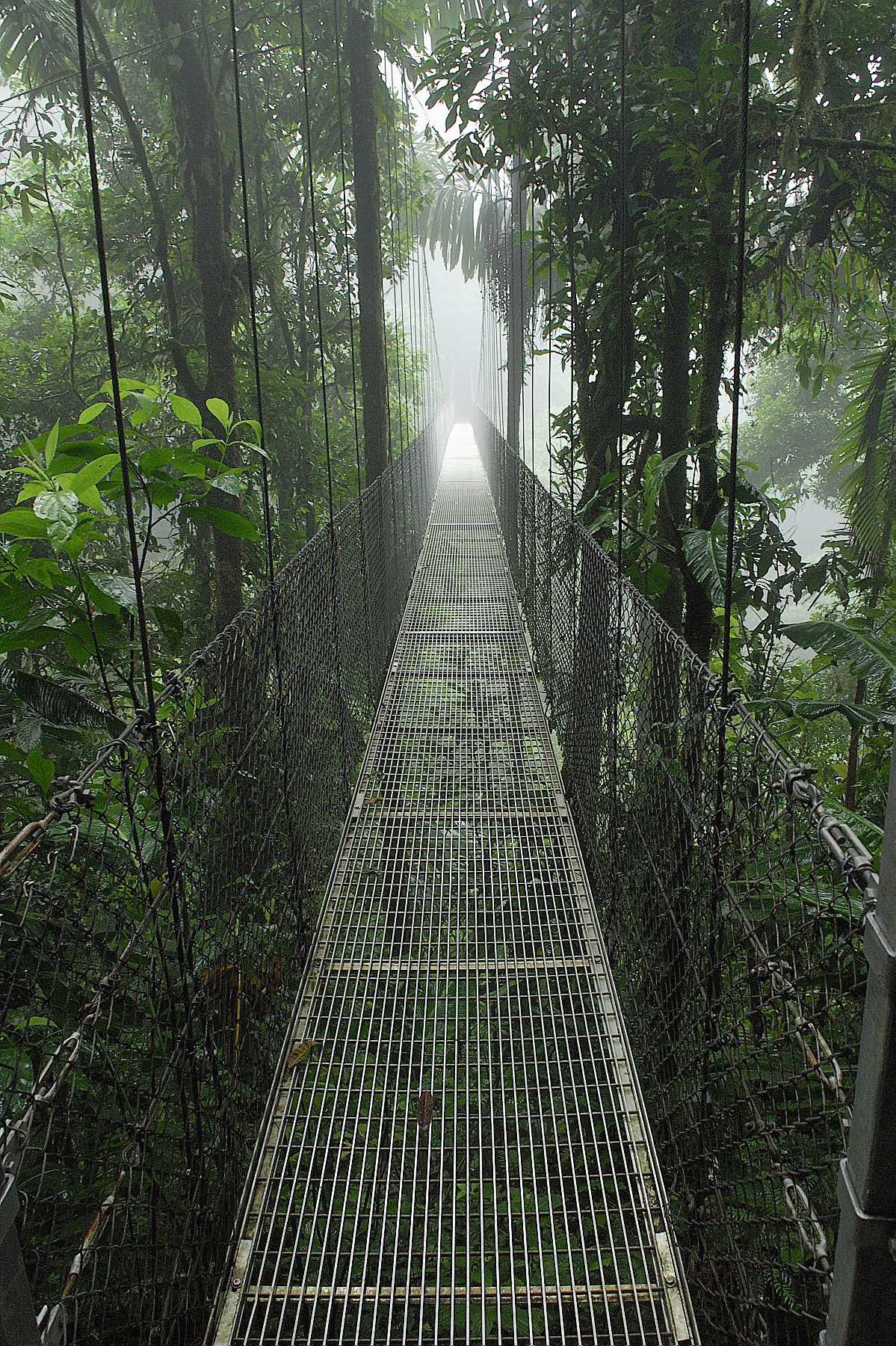 20070625 - Costa Rica - 278.jpg