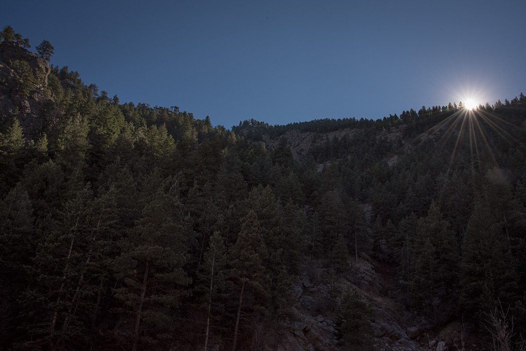 At noon, the sun barely topped the tree line in the canyon