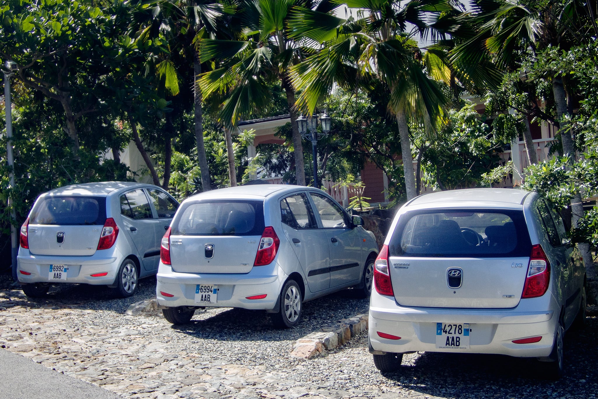 Neighbors at La Plantation had to look carefully before hopping into their rental car! 