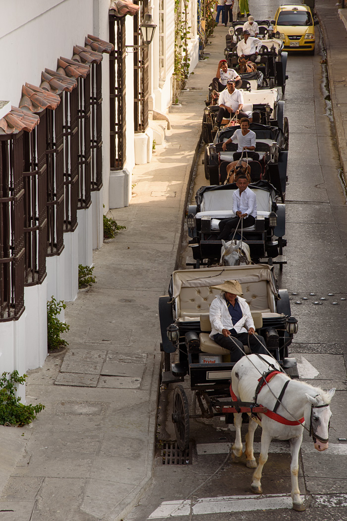The horse drawn carriages head out to pick up tourists for tours.