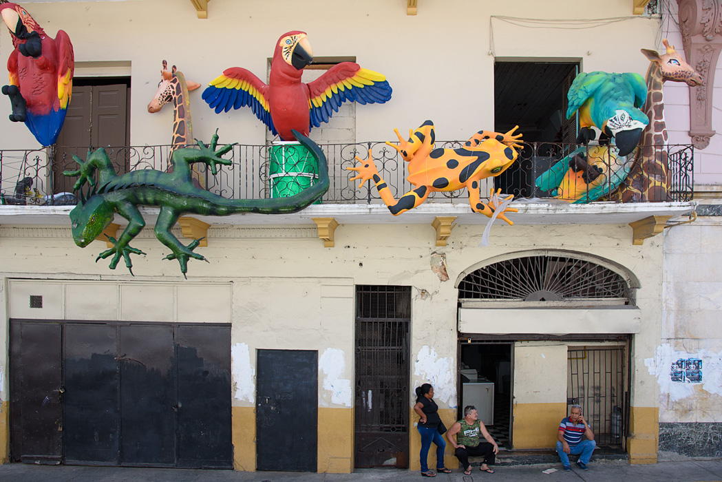 Colorful decorations remained after Carnivale