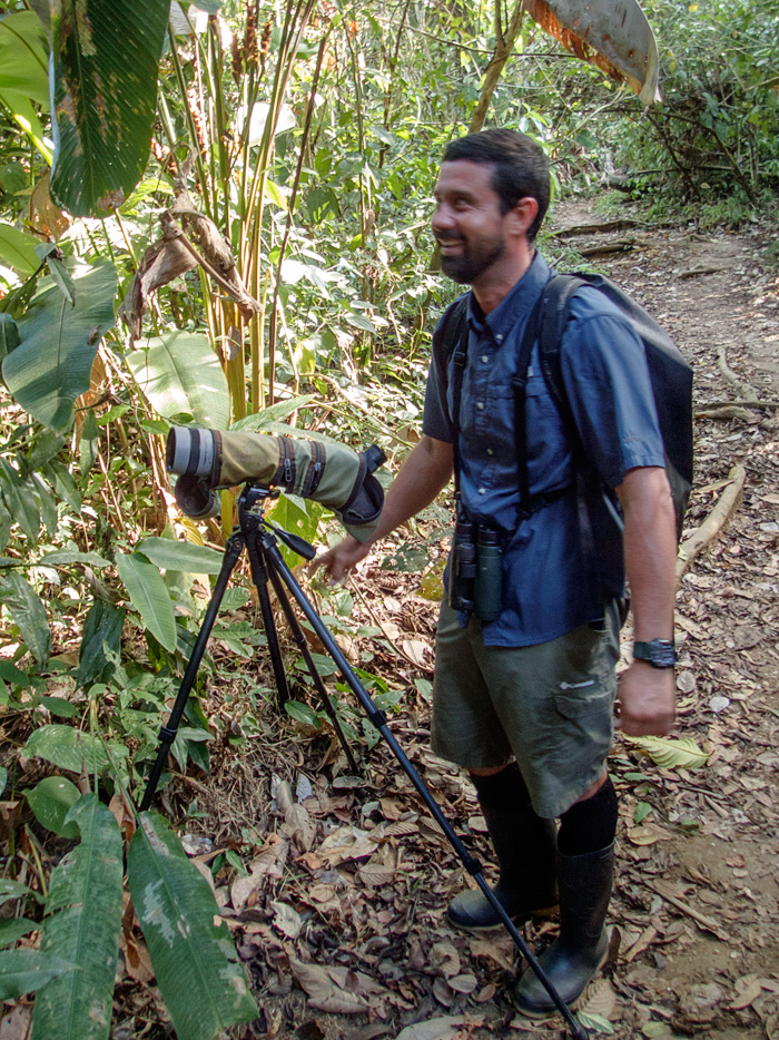 Randall helped us find all kinds of wildlife in the canopy, including crawling under the underbrush to find a sleeping Baird's tapir (Photos in our trip report) 