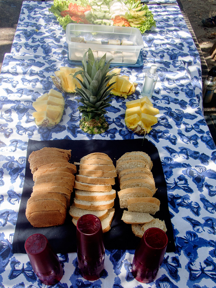 Our lunch buffet laid out at the beach at San Josecito- actually only 1/2 the buffet, there were salads and meats at the other end! 