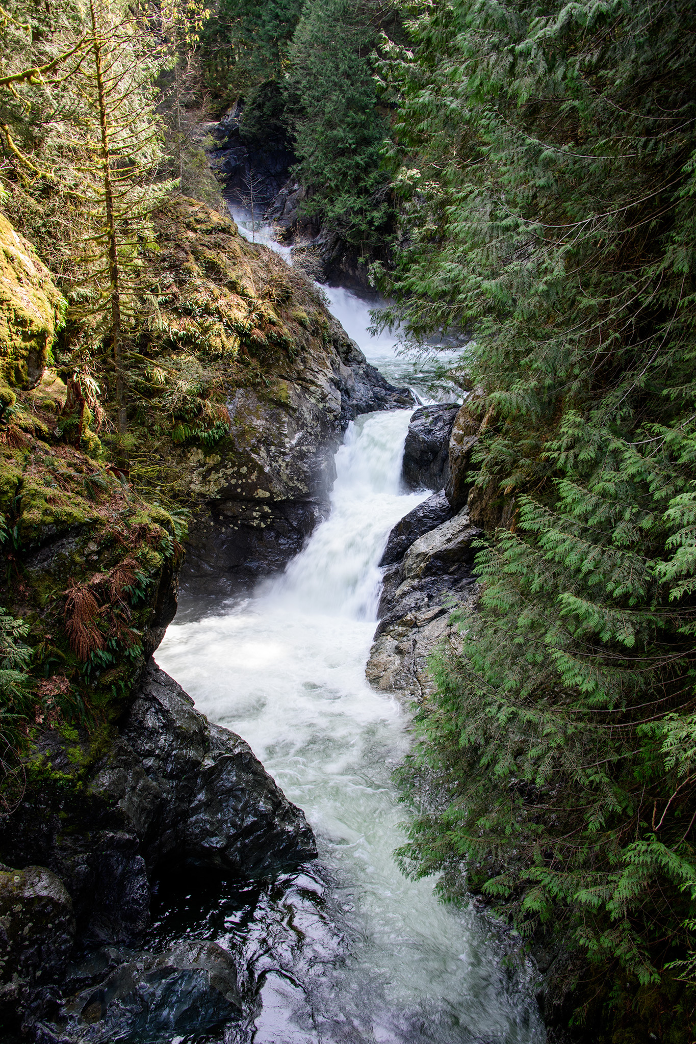 The first of the "twin" falls