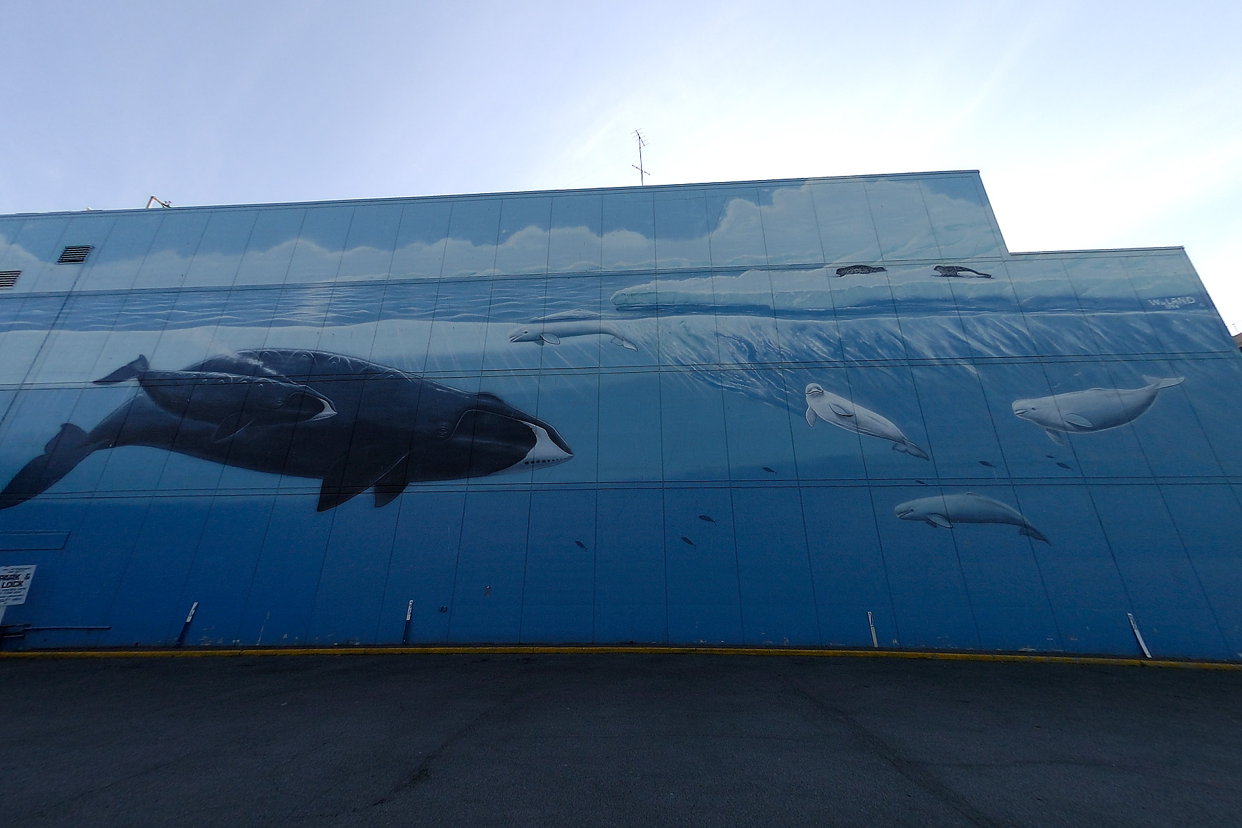 The well known Wyland mural in Anchorage