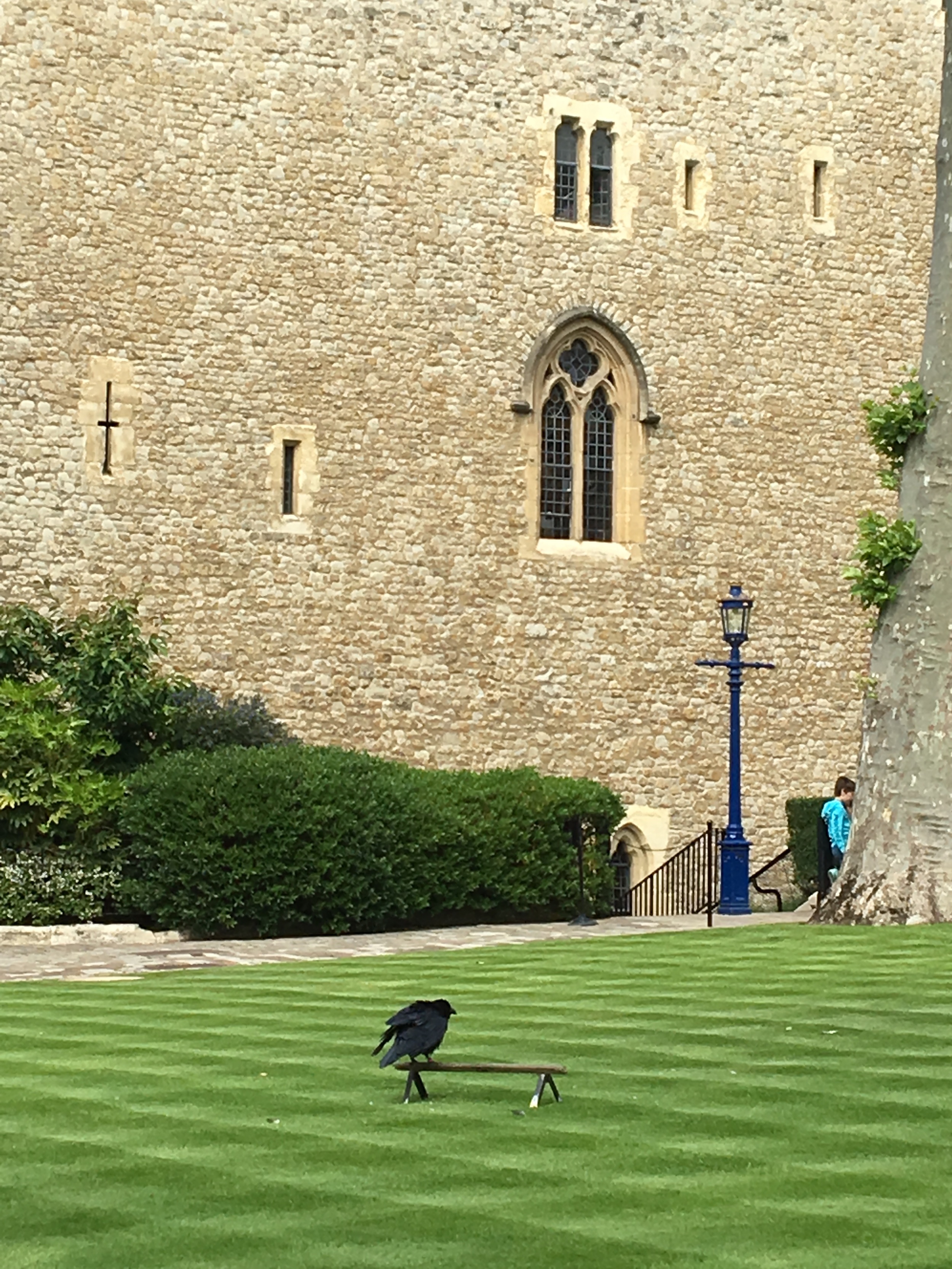 One of the resident ravens in front of the Beauchamp Tower, where the most famous prisoners made their marks, often bringing in their own stone cutters to leave their messages on the wall.