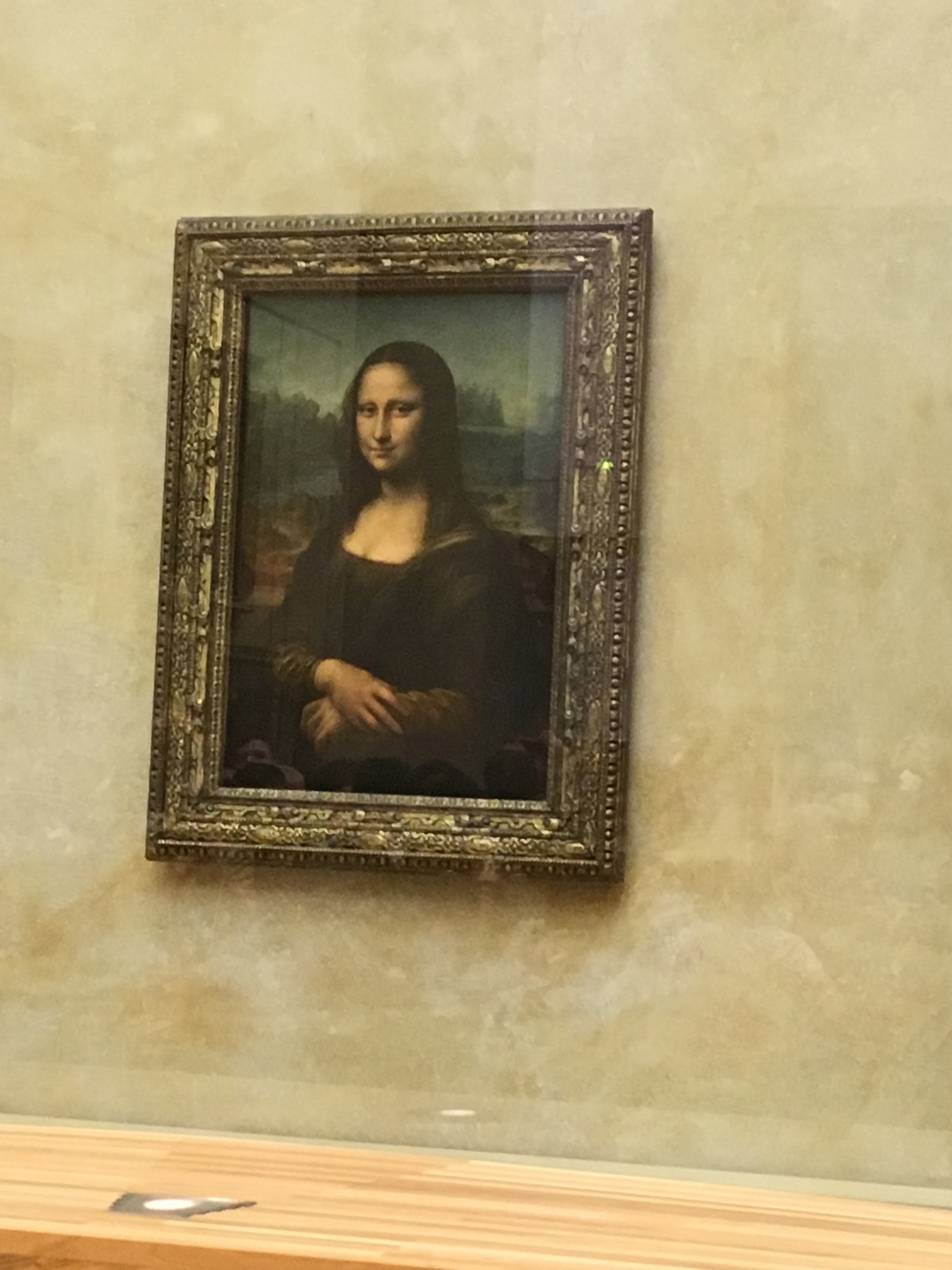 Then of course, we swam our way to the front of the selfie snapping crowd to see the Mona Lisa, Da VInci's most famous work. 