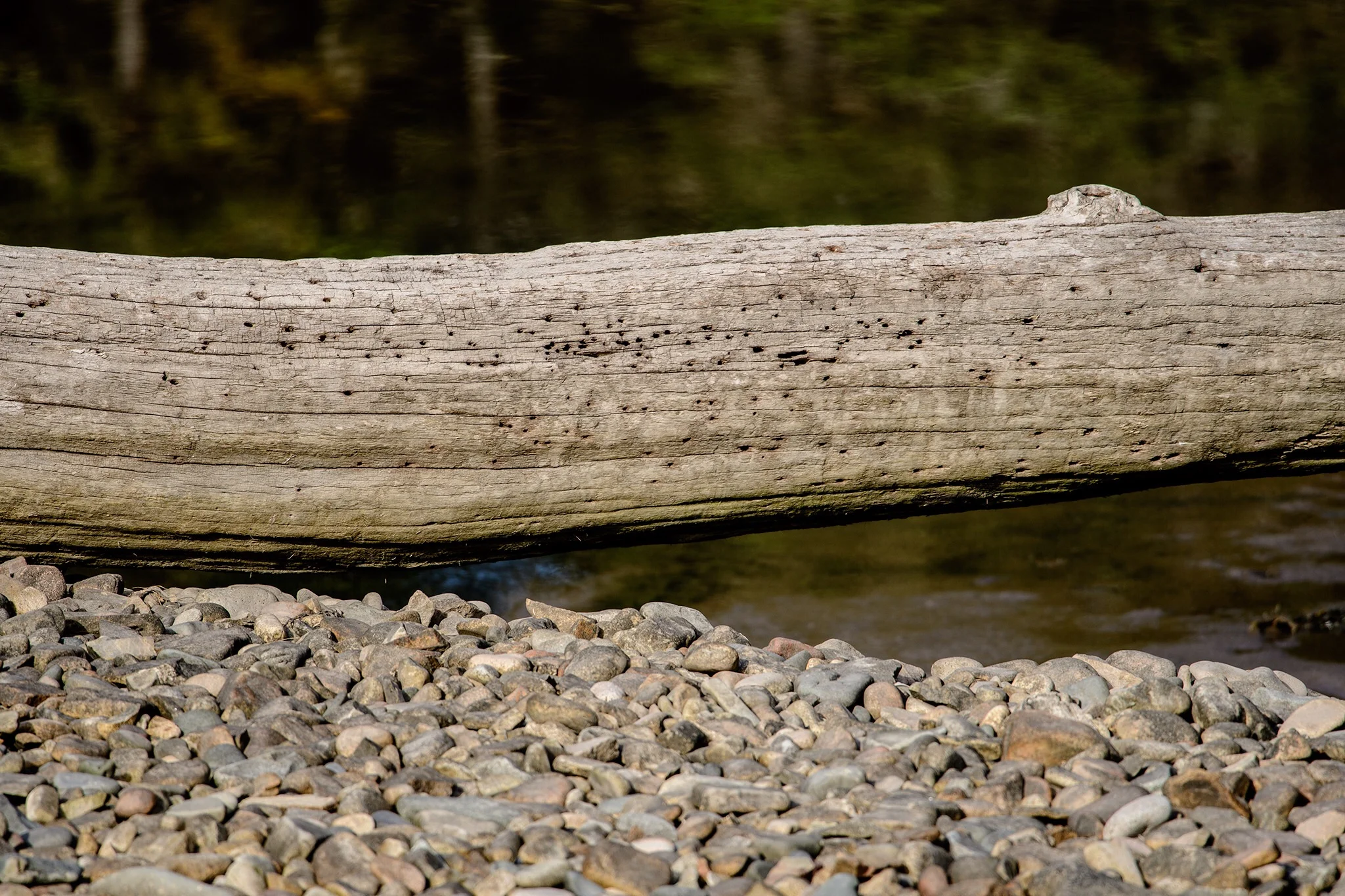 A piece of driftwood sits above the stone pier