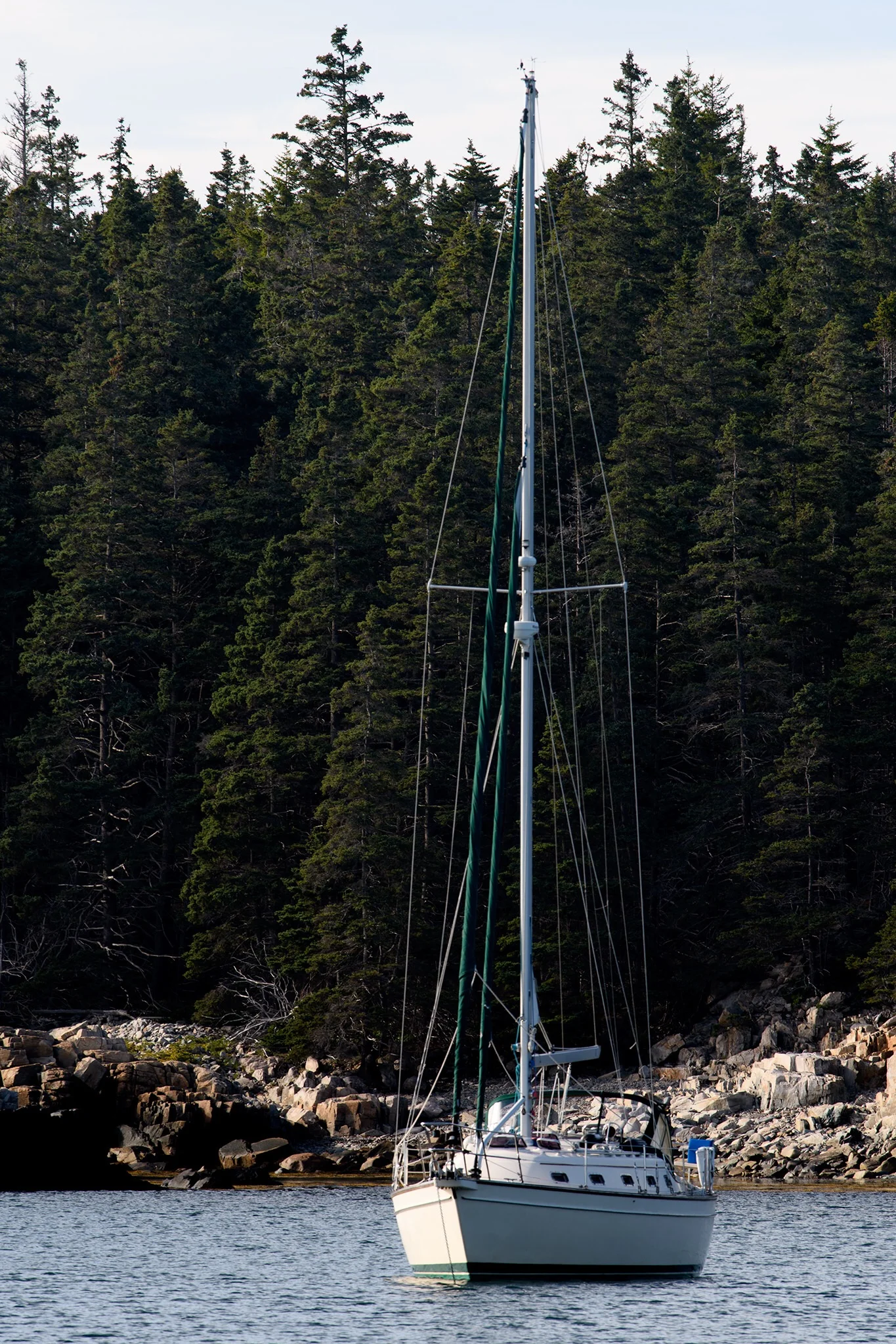 A lone sail boat moored in Schoodic Harbor.