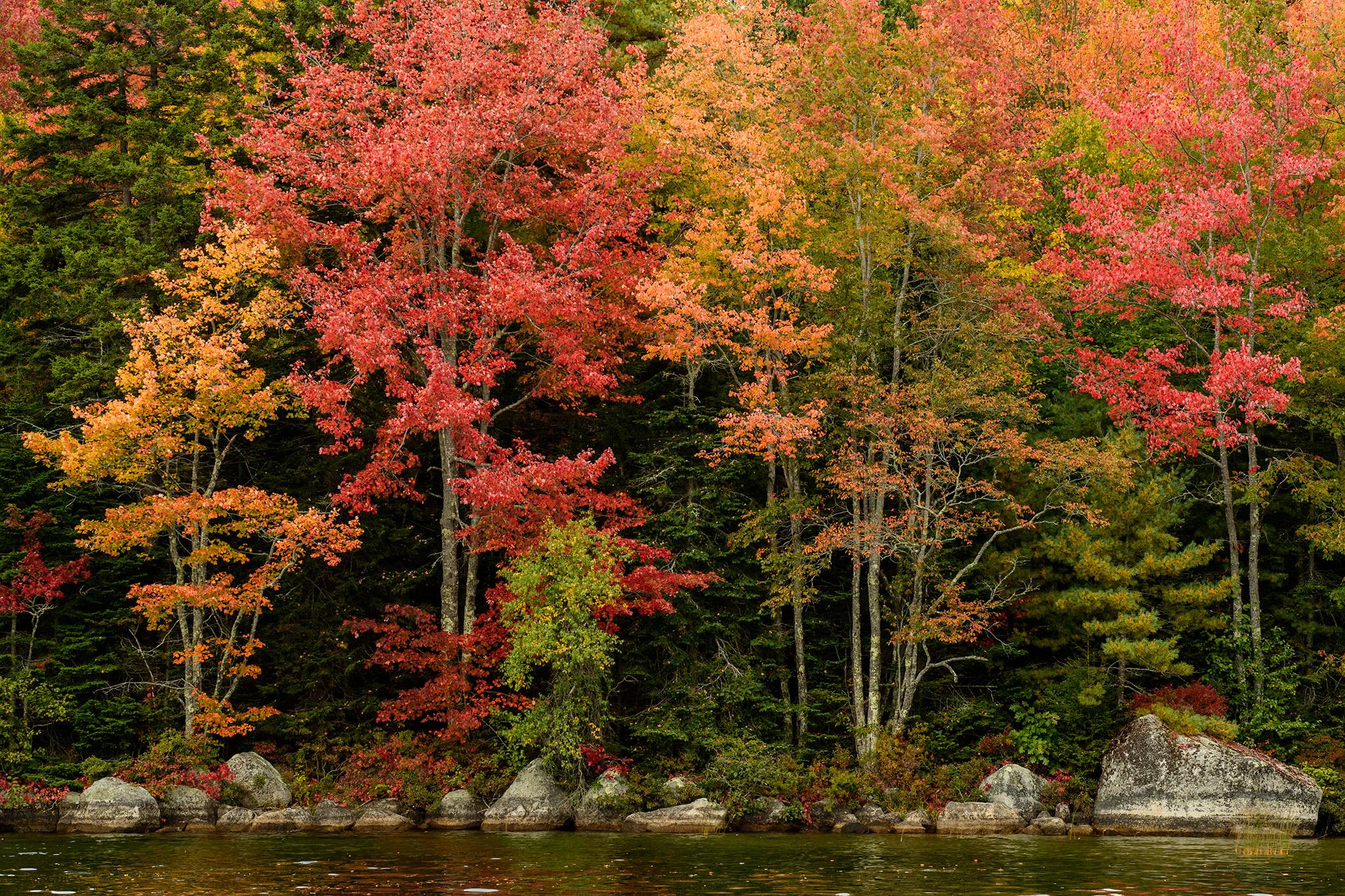 The colorful shores of Walkers Pond