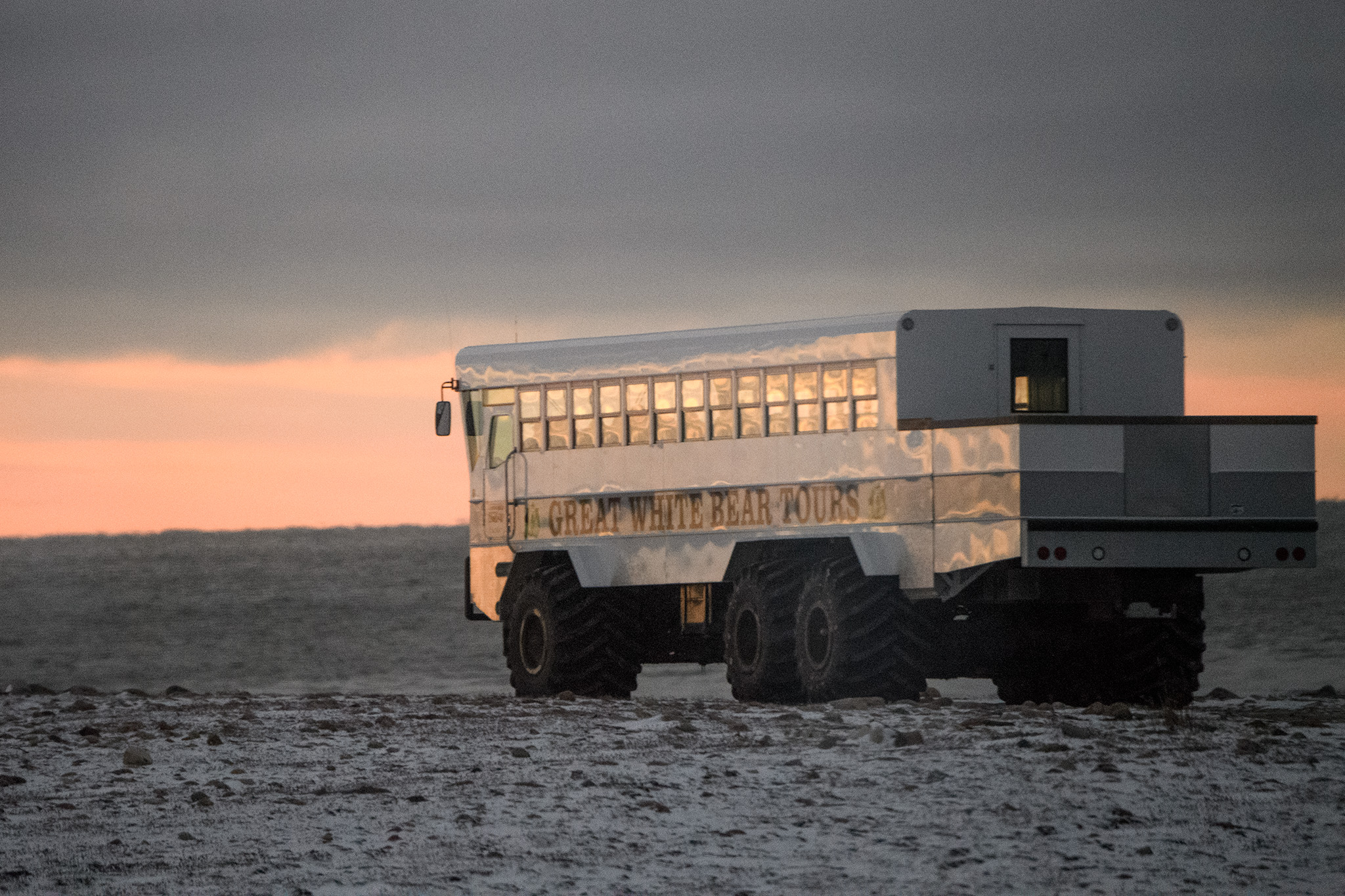 Purpose built polar rovers bring guests out into the National Park to observe bears safely, for both people and bear.