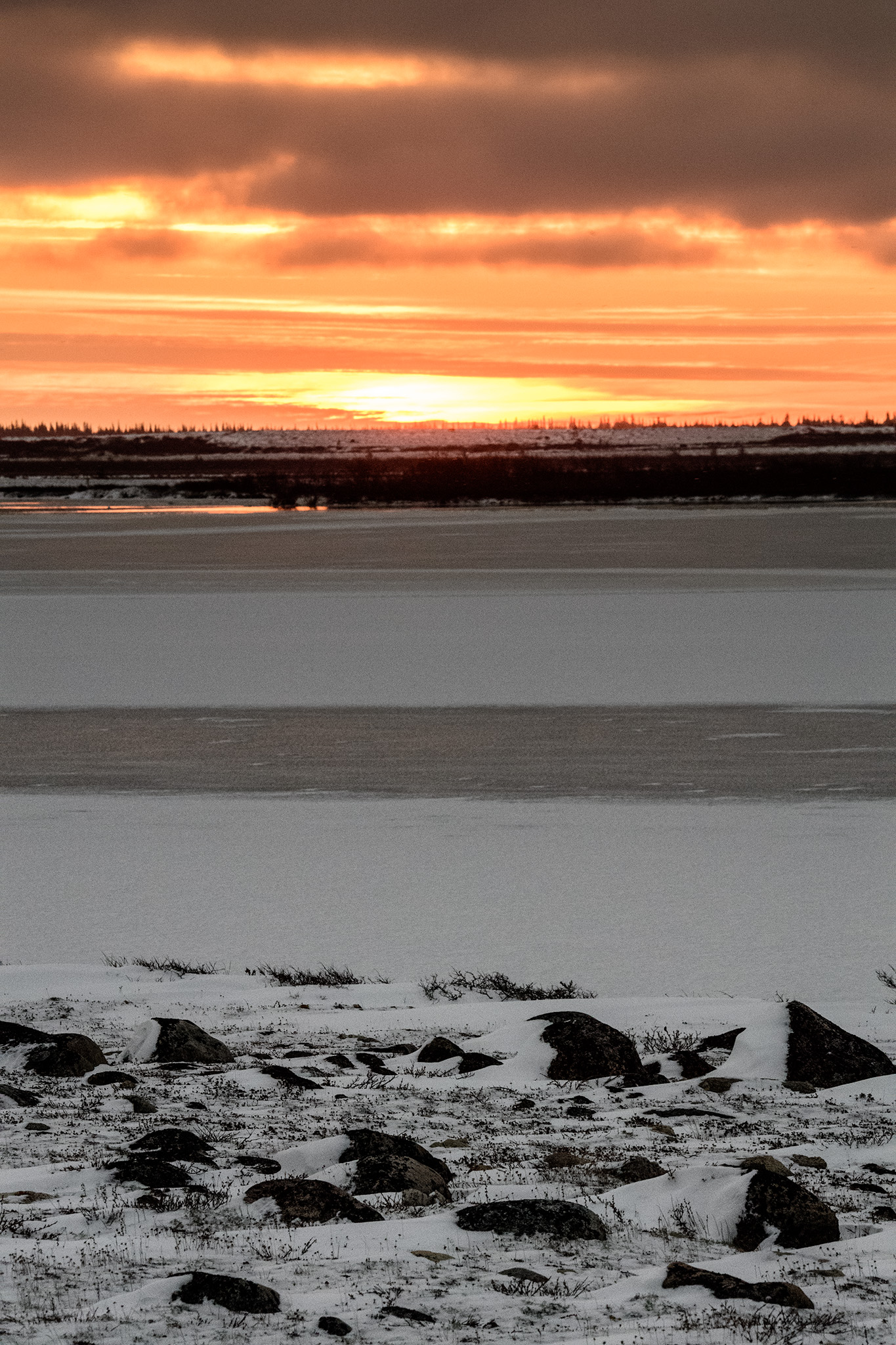 A panoramic sunset on the tundra