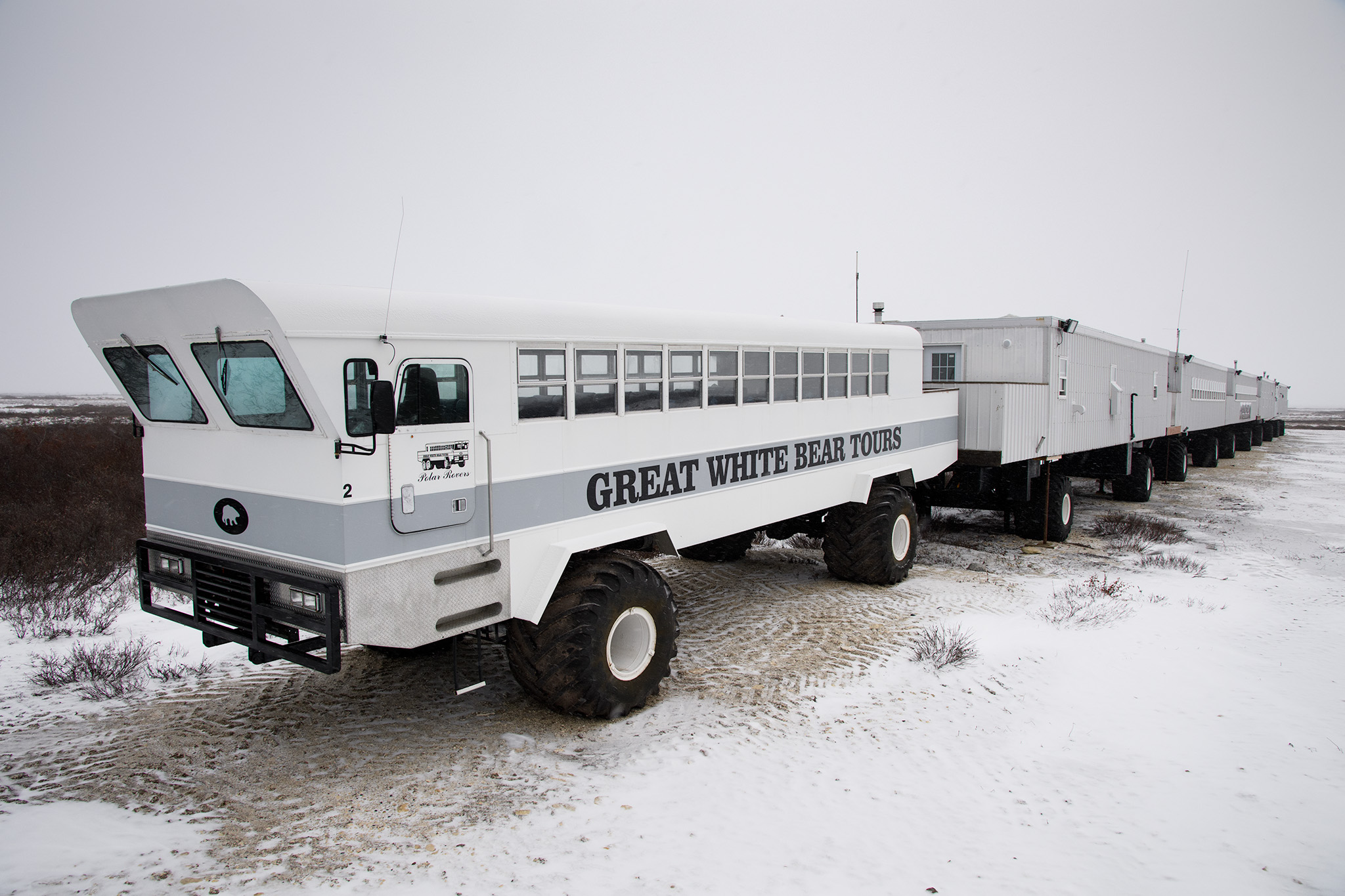 With bunk houses, shared baths, dining and observation cars, the Tundra Lodge is like camping in a heated RV on the tundra. Visitors need to make a choice between the more private comforts of a town lodge, or the more wild experience of remaining enclosed in the lodge on the tundra day and night.