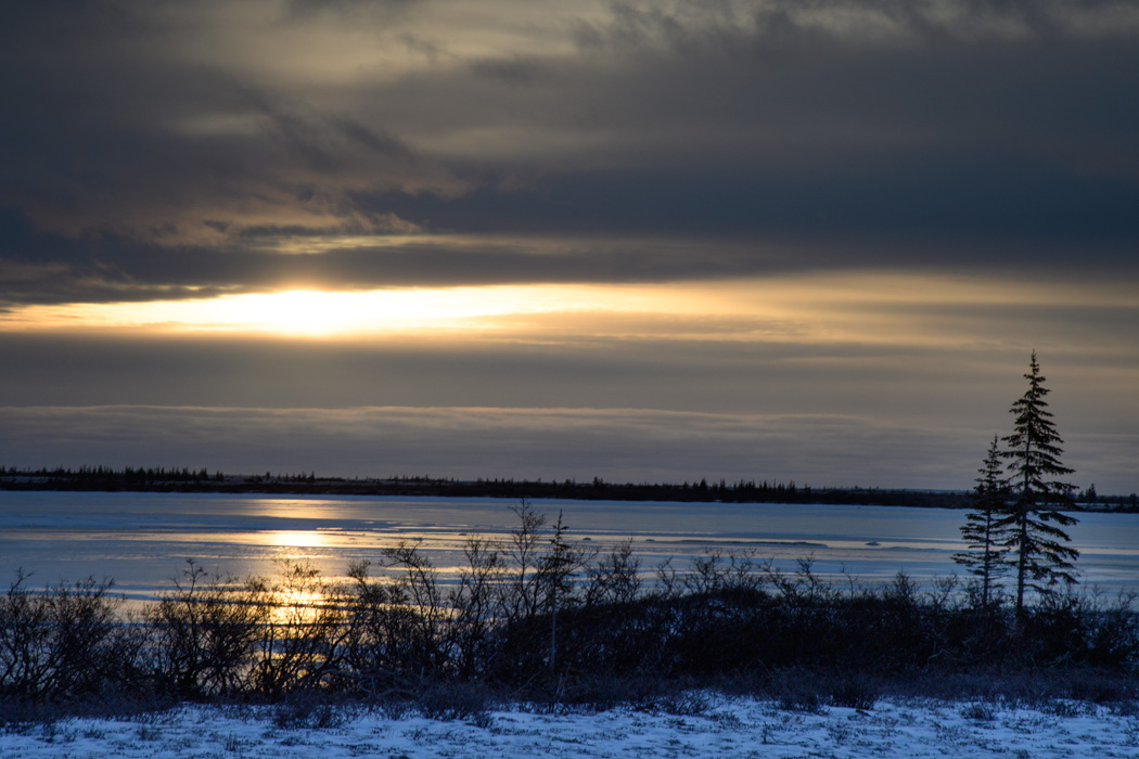 Sunrise on the tundra