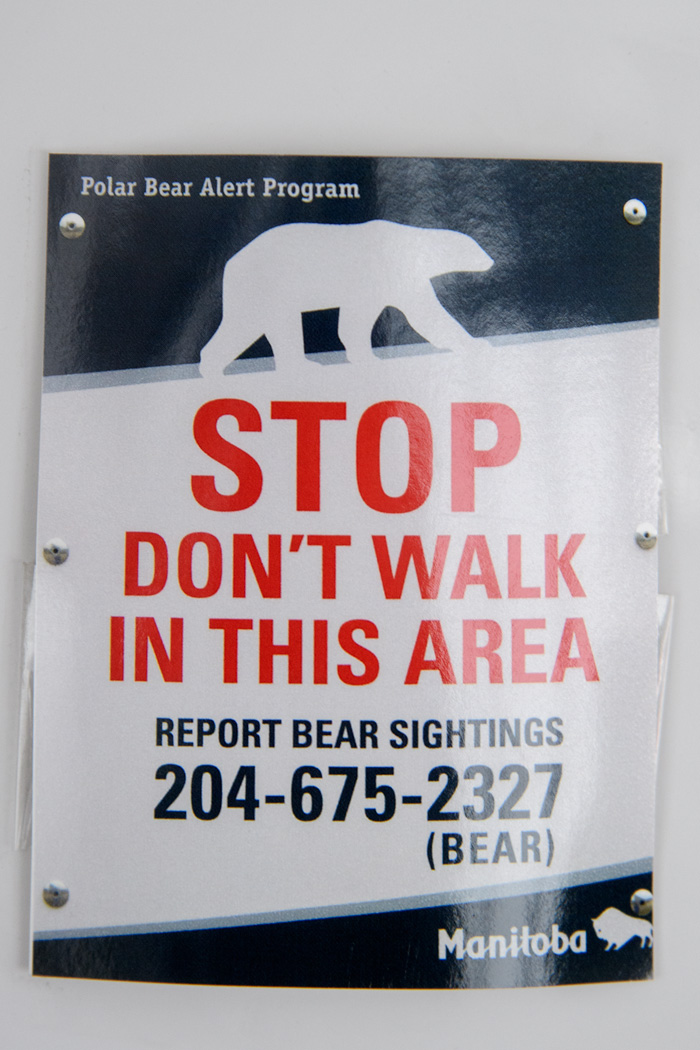Spending time in town allowed us to see and discuss with locals how they manage to live with the largest land predators wandering into their back yards!