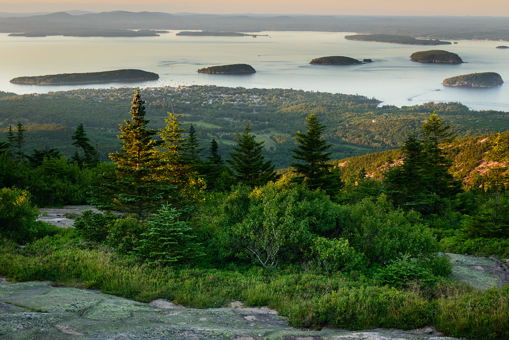 Blueberry barrens, mountain and ocean views...