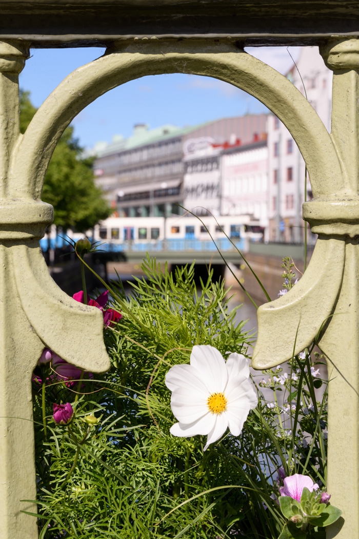 canal view