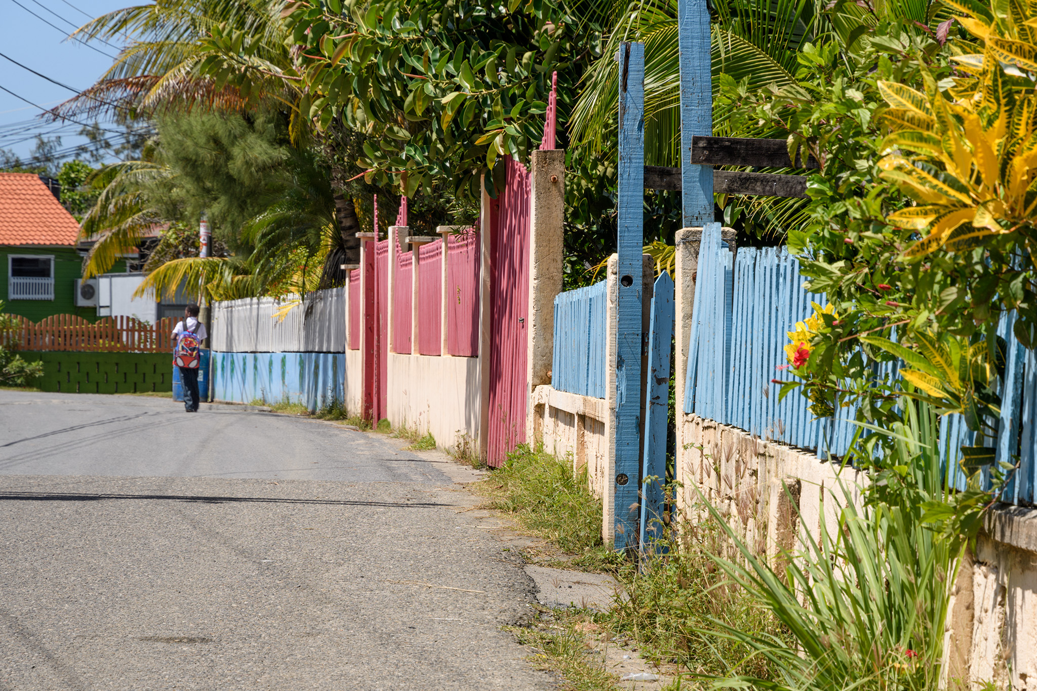 Colorful fences in another neighborhood in Roatan