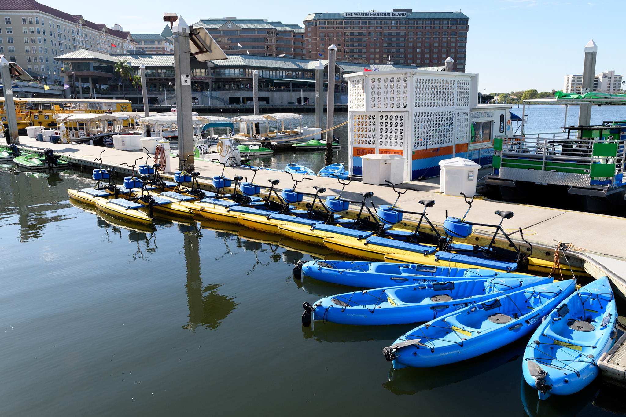 Tampa River walk is a good place to spend a few hours or days after a cruise! A variety of boat rentals are available to explore the bay. 