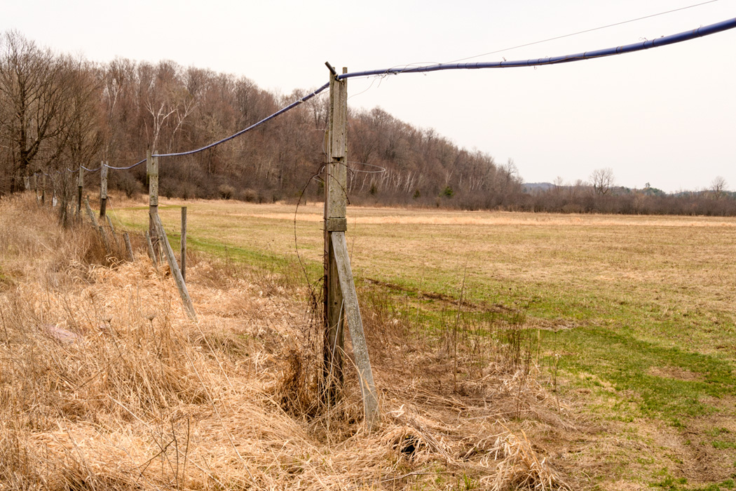 The lines direct maple sap through the forest of maple trees to the sugar house.