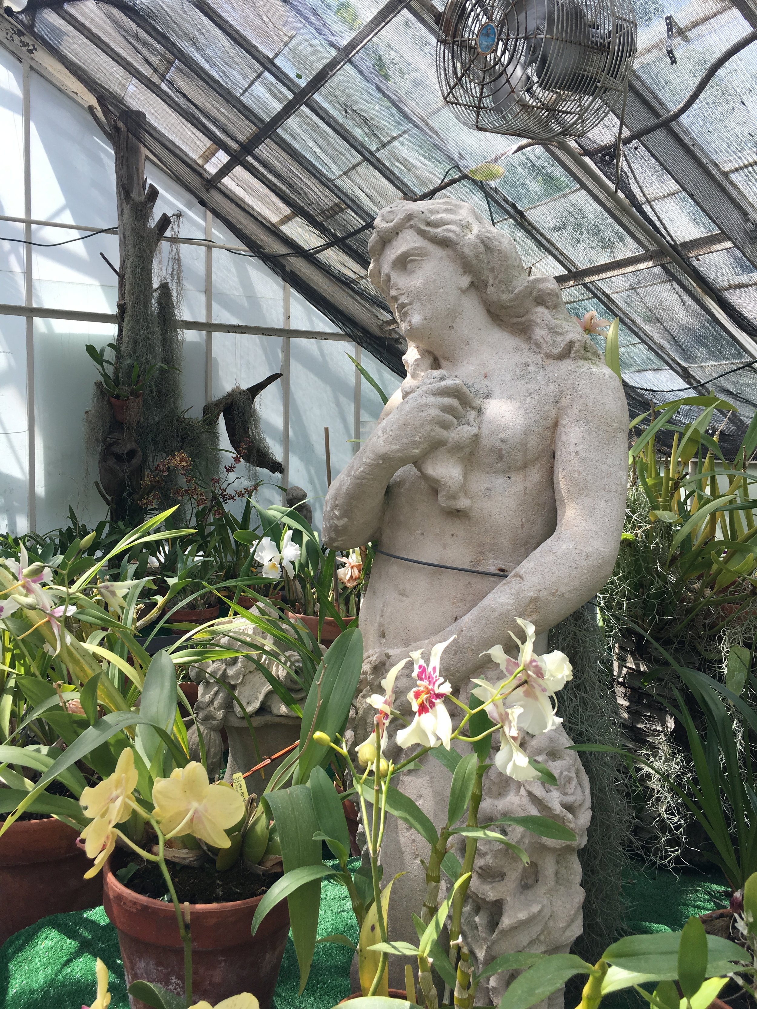 Garden statues are tucked among the lush foliage in the orchid green house.