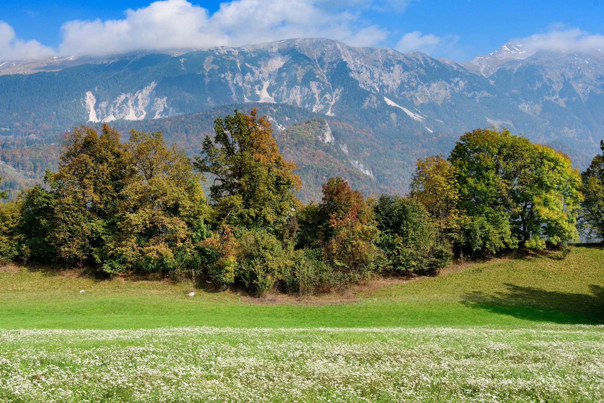 On our way back to our ship, we marveled at how much Slovenia felt like our home in New England!