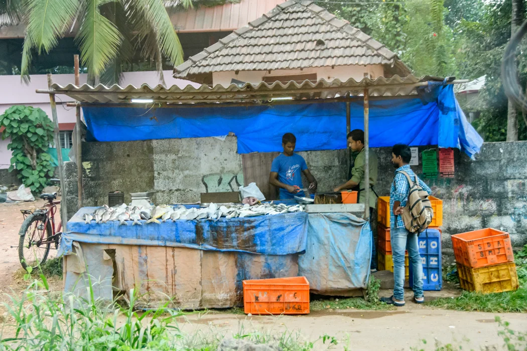 Fish market