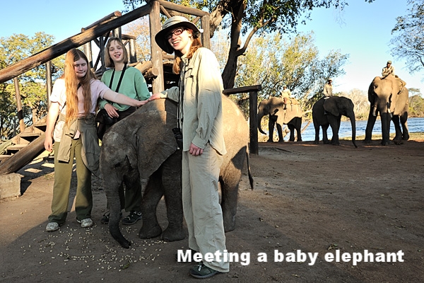 20100622 - Elephant Safari - 199.jpg