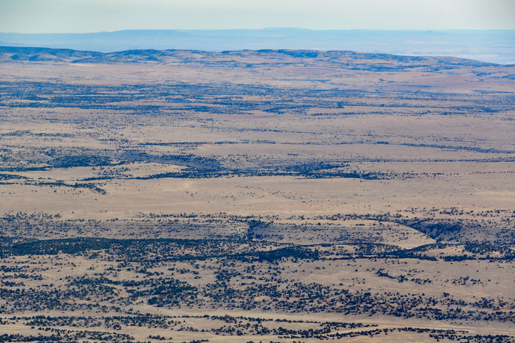 The "painted desert" in the distance...we were reminded that the "paint" is the sun, and the photographers capturing it are spending hours looking for just the right light! We also learned about the "islands" and "rivers" of vegetation in the desert where just a slight elevation allows growth of trees and shrubs. 