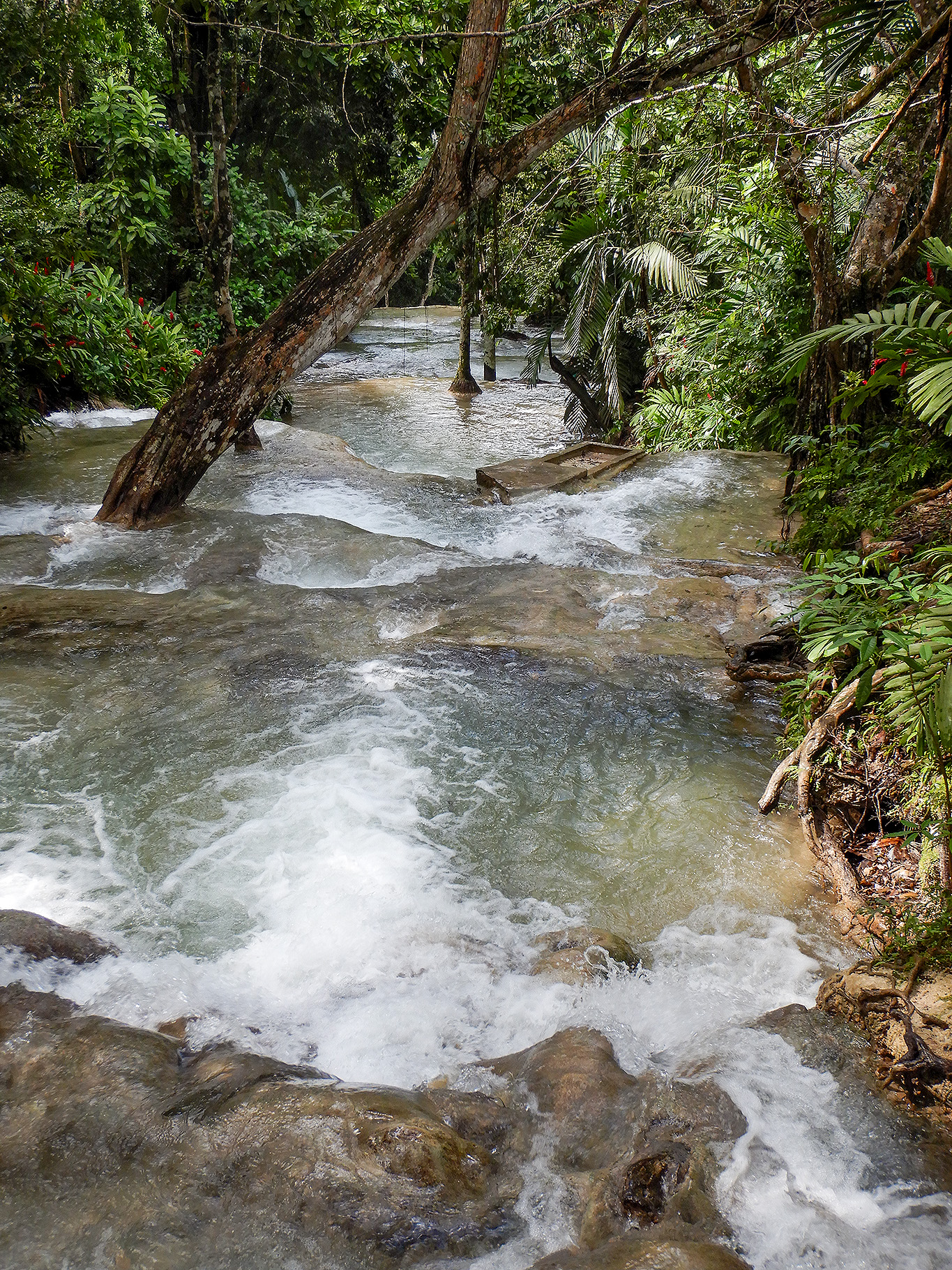 20180308 - Falmouth Jamaica - 168.jpg