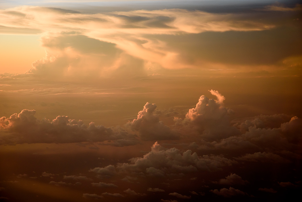 High above the ground...find a peaceful place! 