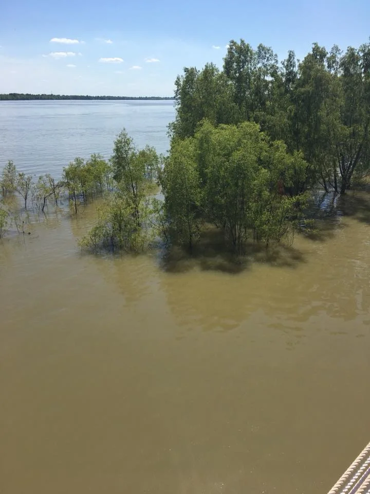 The Mississippi had flooded it's banks in places in St Francisville
