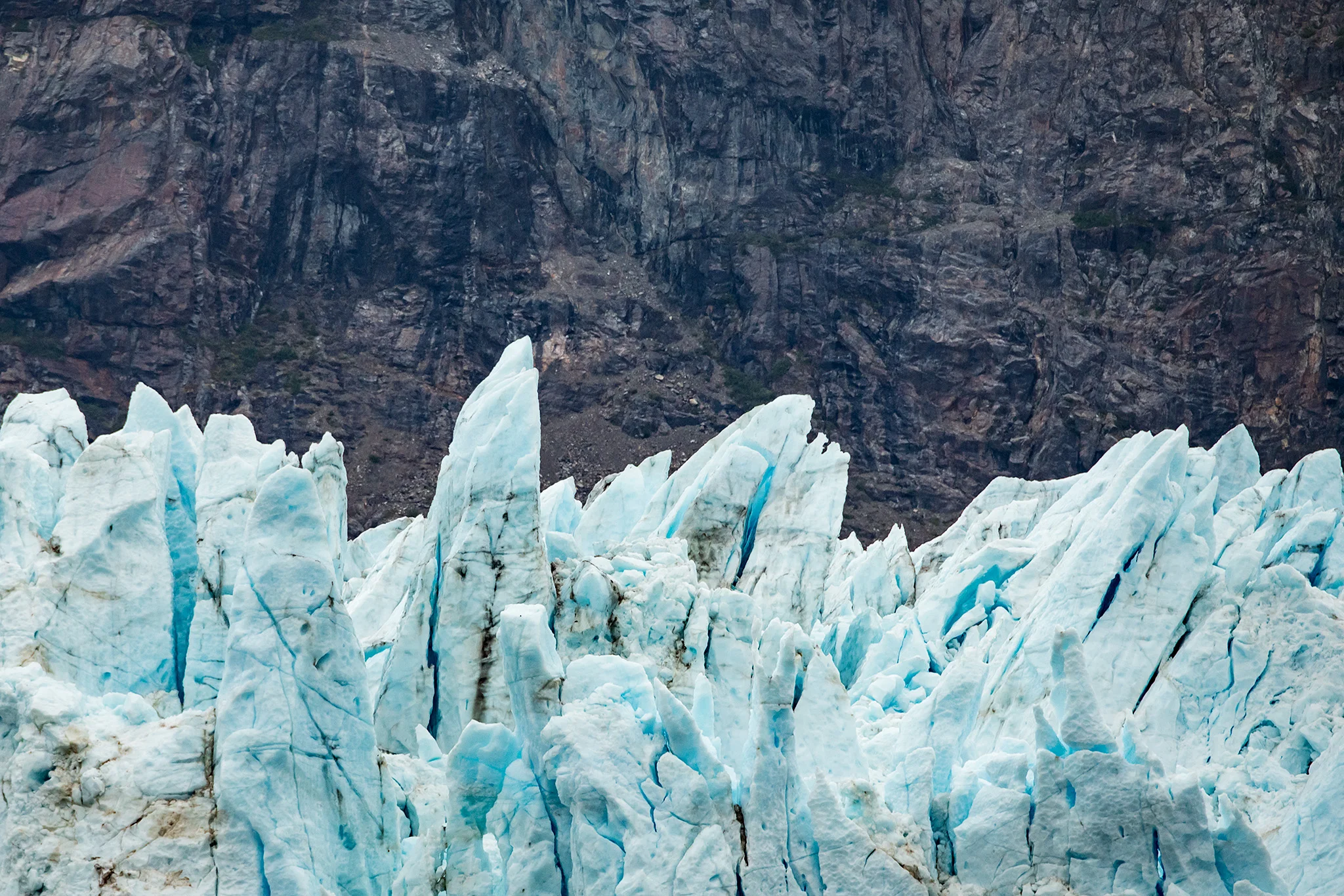 20180816 - Glacier Bay - 0047.jpg