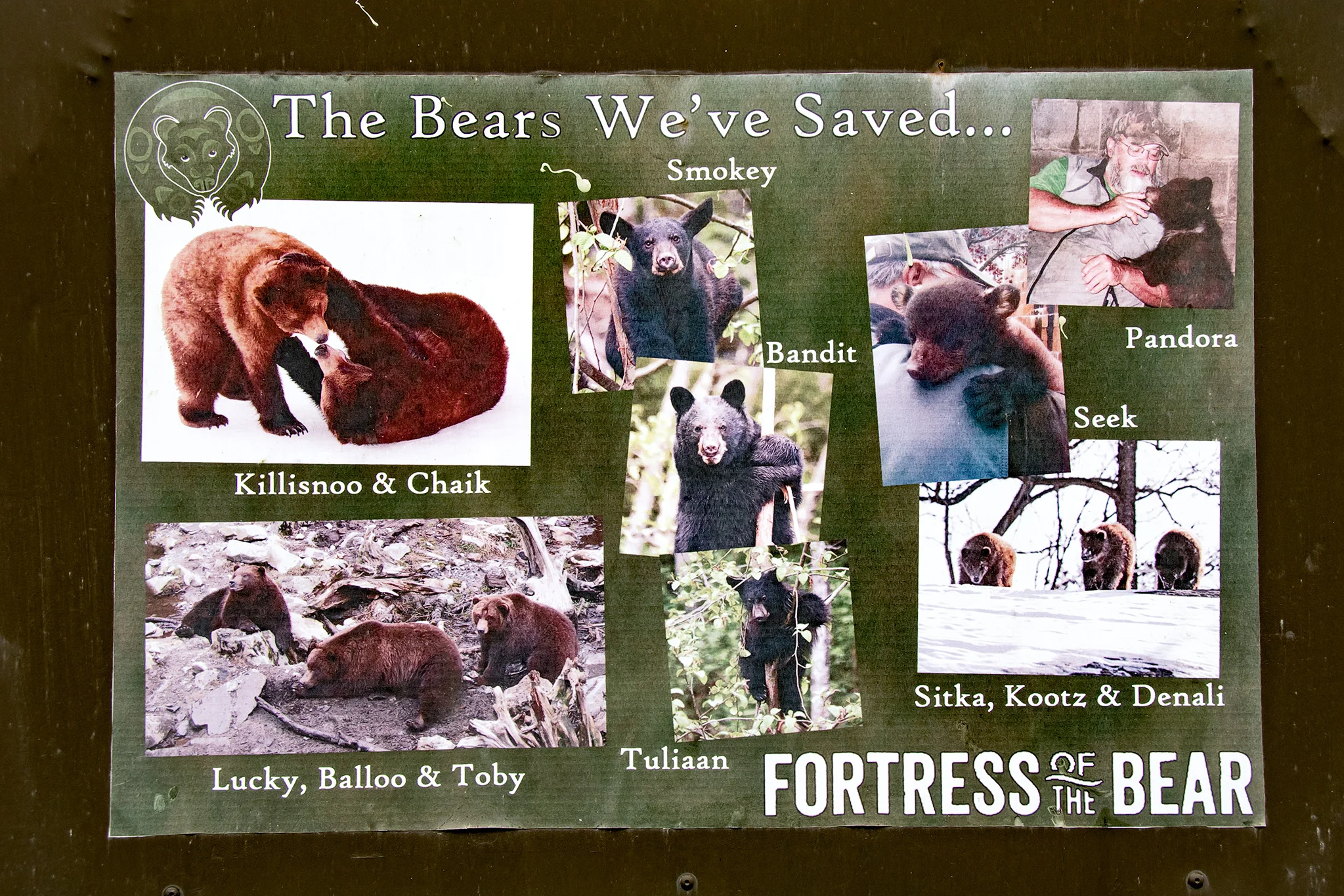 20180812 - Sitka Raptor Center & Fortress of the Bear - 185.jpg